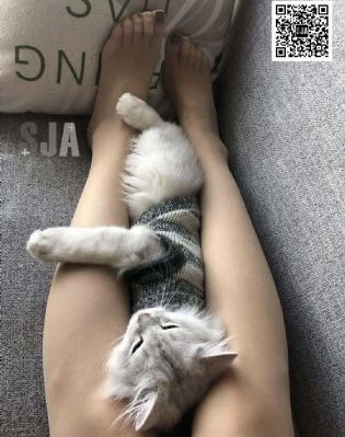 b站直播隐私模式怎么开_BD国语免费播放